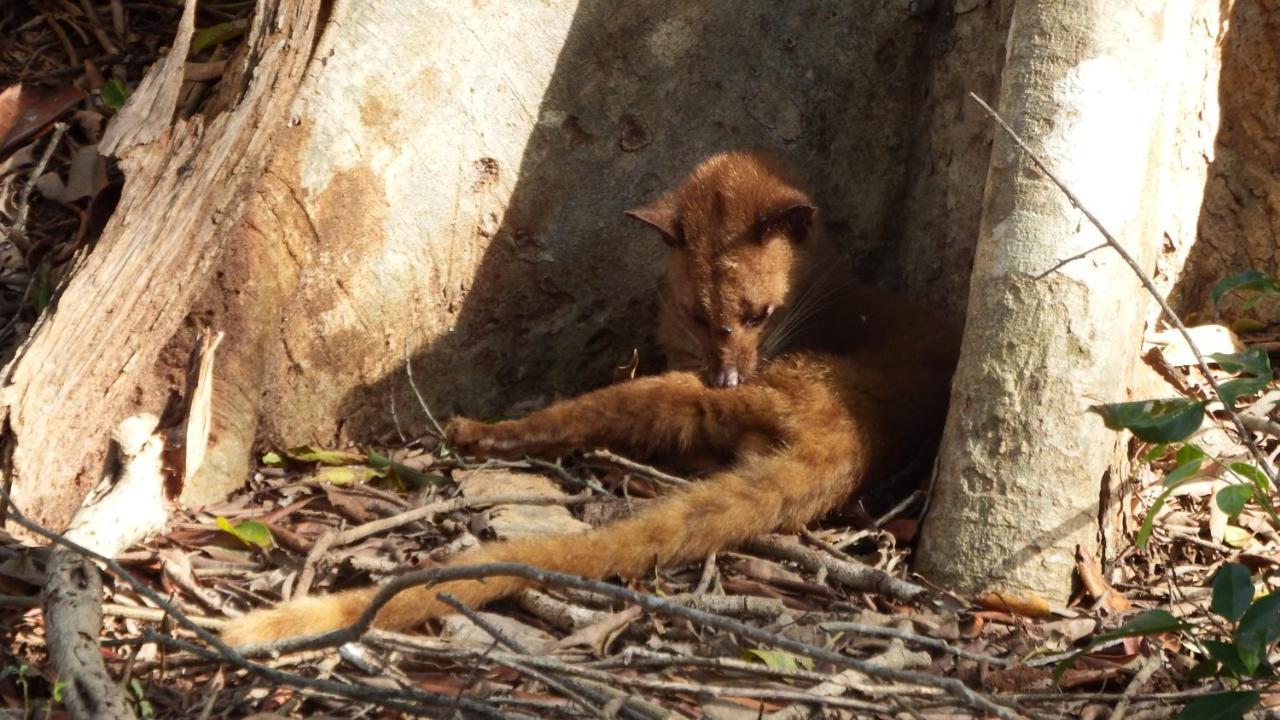 Kele Yala Villa Luaran gambar