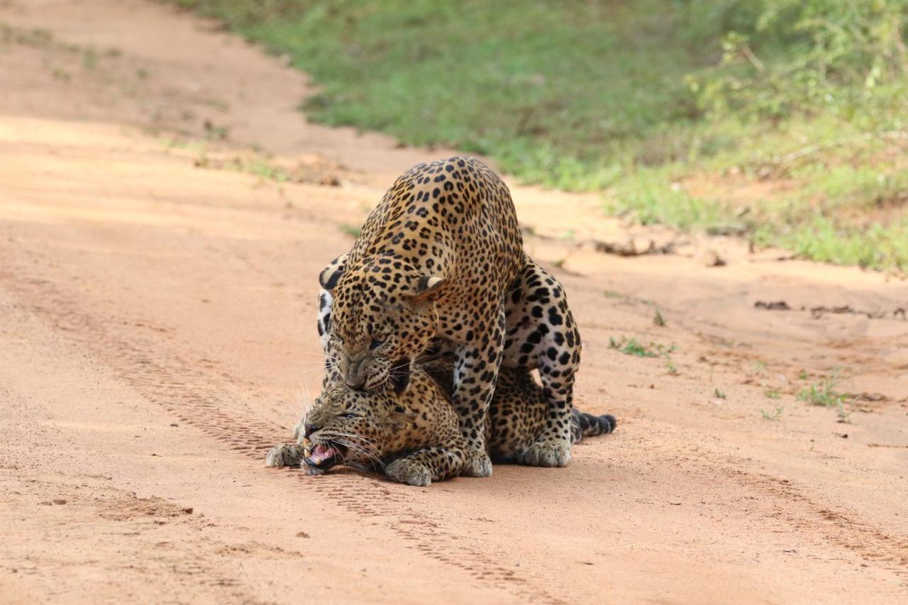 Kele Yala Villa Luaran gambar