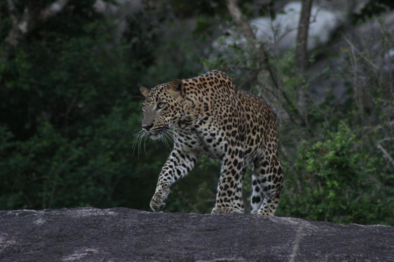Kele Yala Villa Luaran gambar